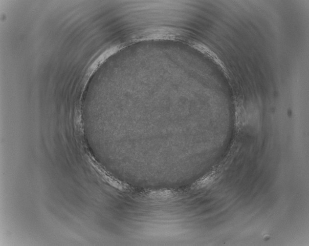 X0000076100882200610152341