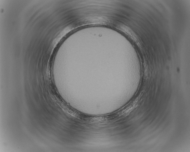 X0000076100883200610152340