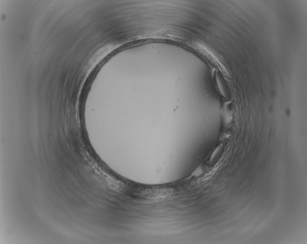 X0000076100884200610152340