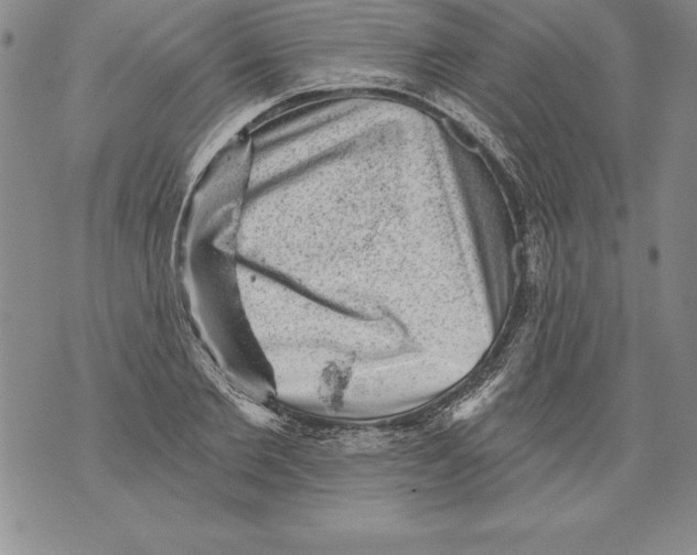 X0000076100885200610152340