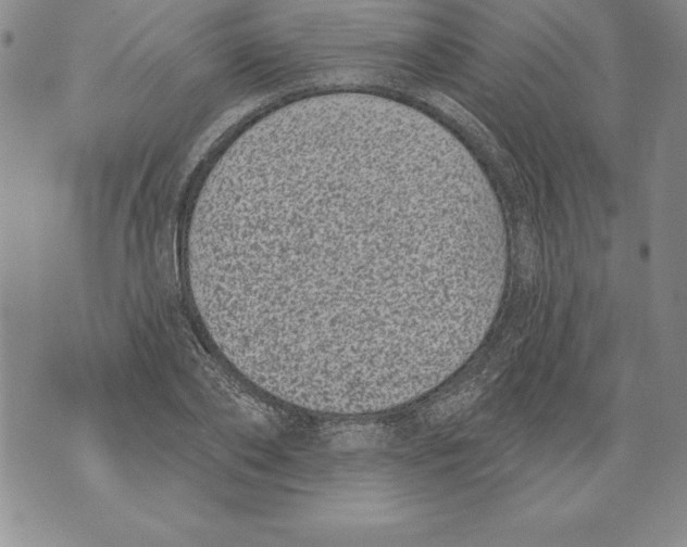 X0000076100886200610152340