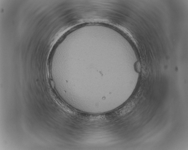 X0000076100887200610152340