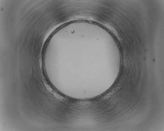 X0000076100888200610152340