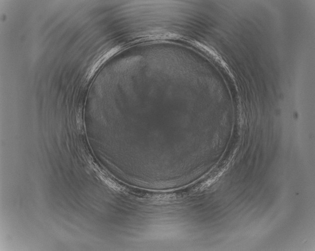 X0000076100889200610152340