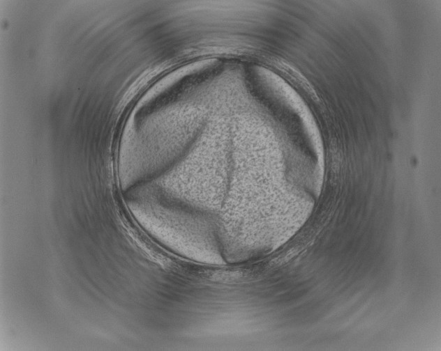 X0000076100890200610152340