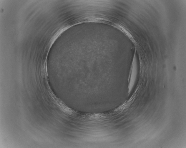 X0000076100891200610152340