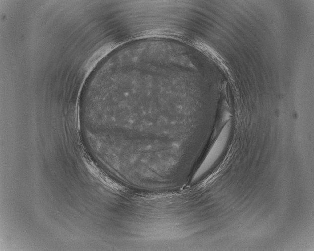 X0000076100892200610152340