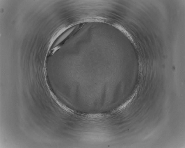 X0000076100893200610152340