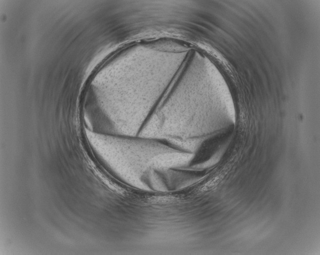 X0000076100894200610152340