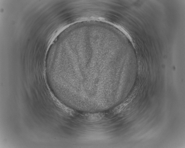 X0000076100895200610152340