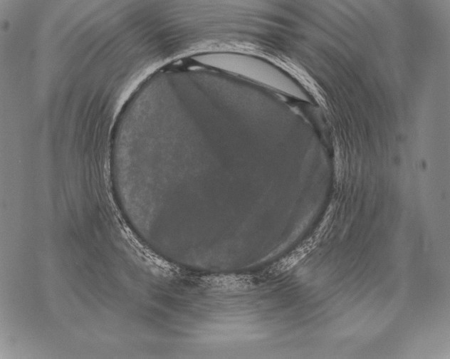 X0000076100896200610152340