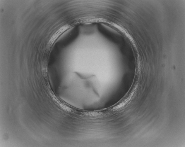 X0000076100897200610152340