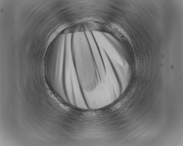 X0000076100898200610152340