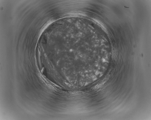 X0000076100899200610152340