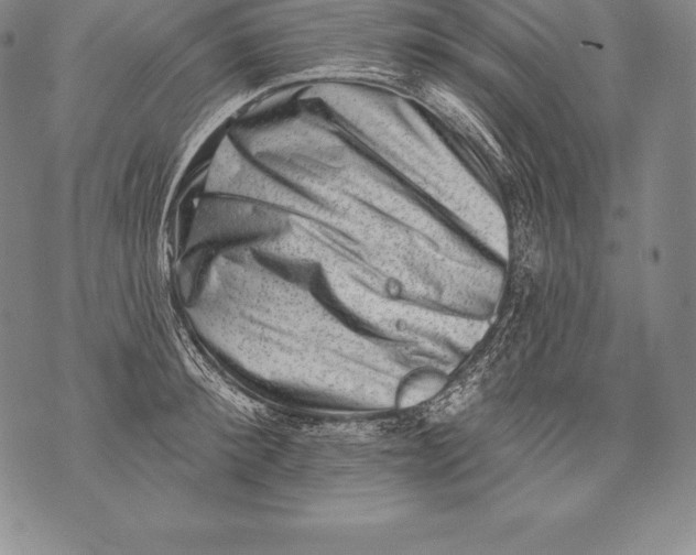 X0000076100900200610152340