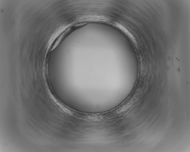 X0000076100901200610152340