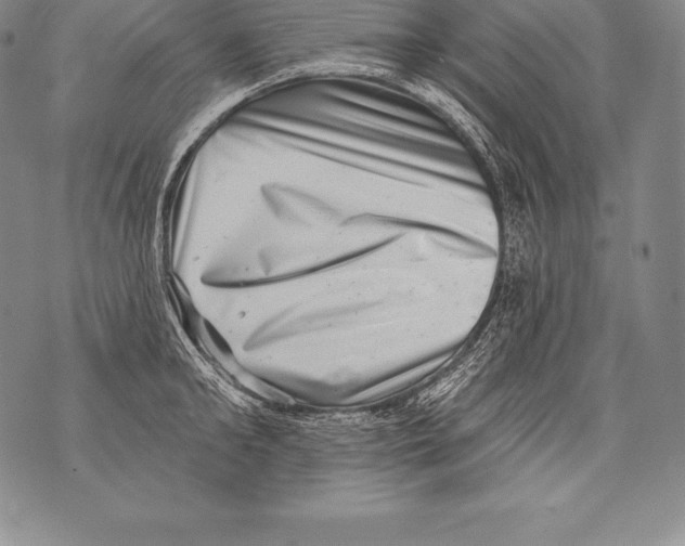 X0000076100902200610152340