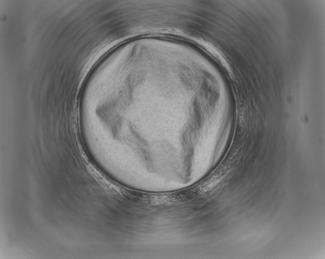 X0000076100903200610152340