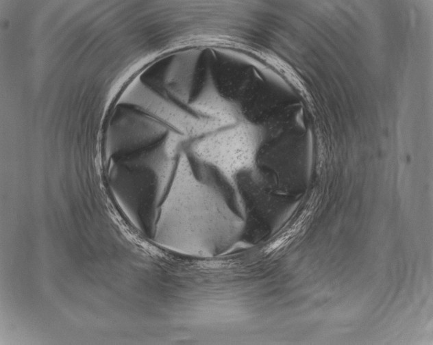 X0000076100904200610152340