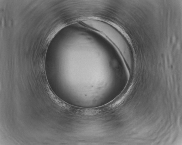 X0000076100905200610152340