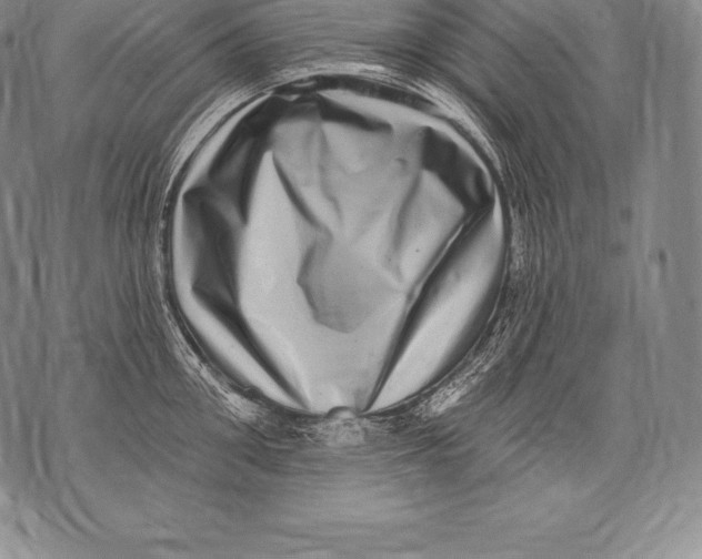 X0000076100906200610152340