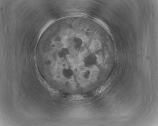 X0000076100907200610152340