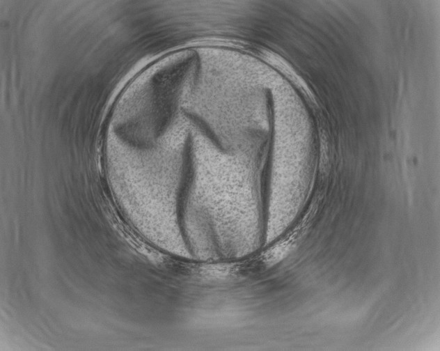 X0000076100908200610152340