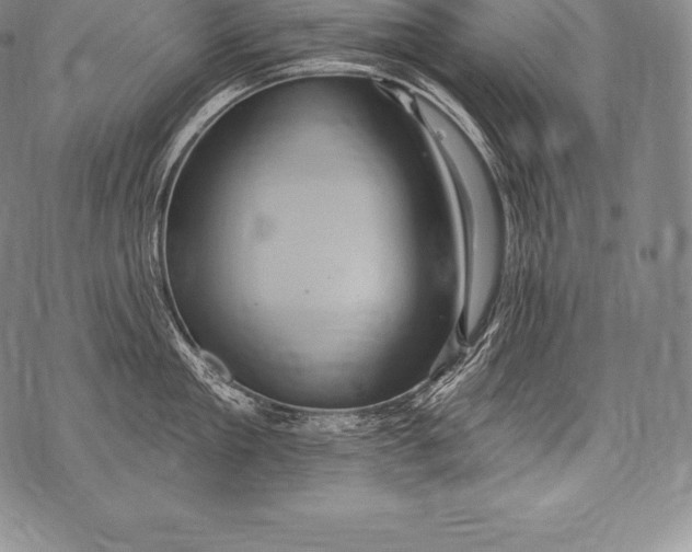 X0000076100909200610152340