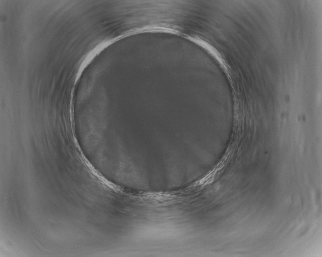 X0000076100910200610152340