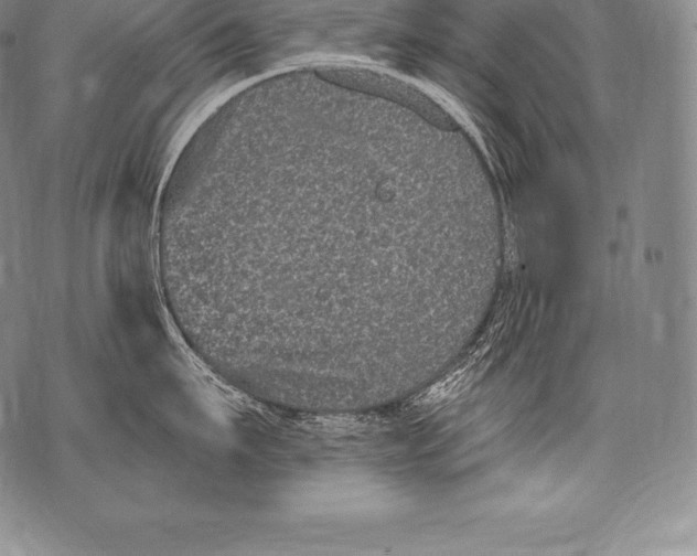 X0000076100911200610152340