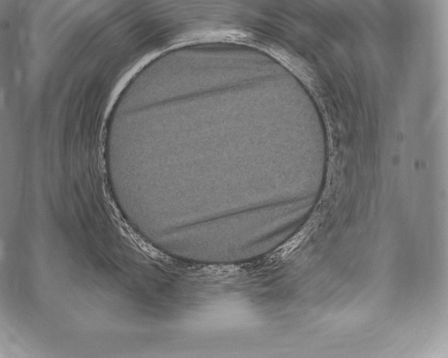 X0000076100912200610152340