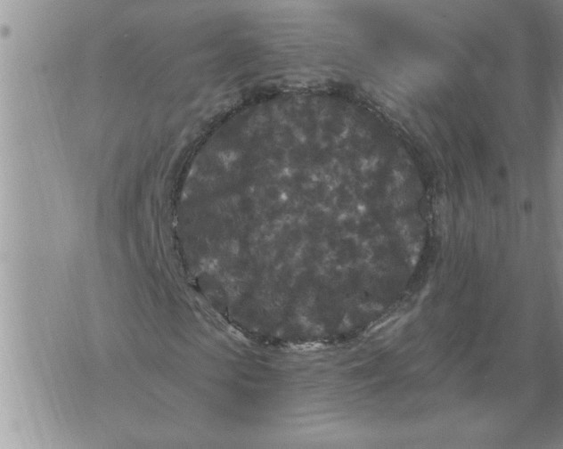 X0000076100913200610152339