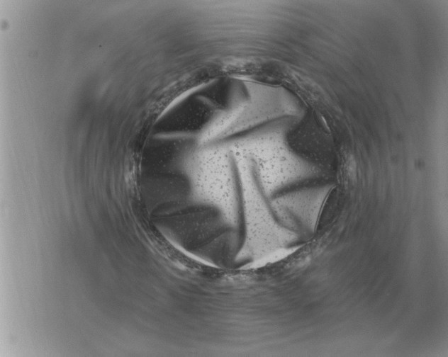 X0000076100914200610152339