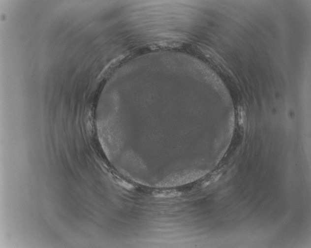 X0000076100915200610152339