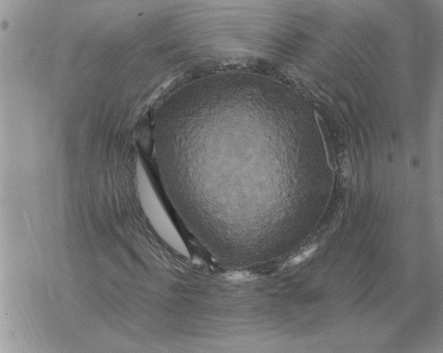 X0000076100916200610152339