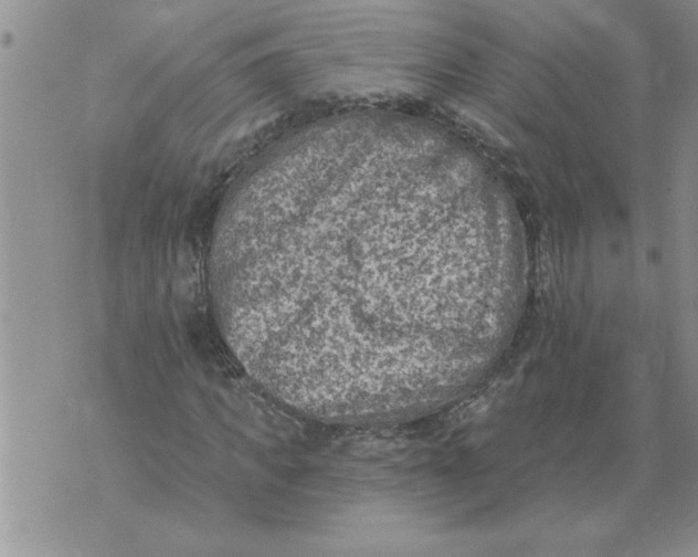 X0000076100917200610152339