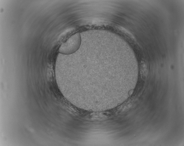 X0000076100918200610152339