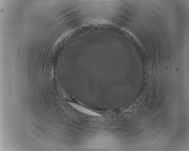 X0000076100919200610152339