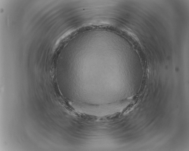 X0000076100920200610152339