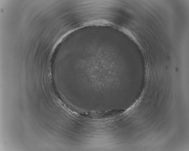 X0000076100923200610152339