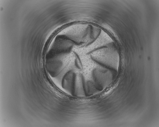 X0000076100924200610152339