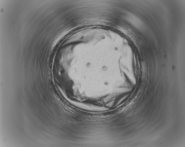 X0000076100925200610152339