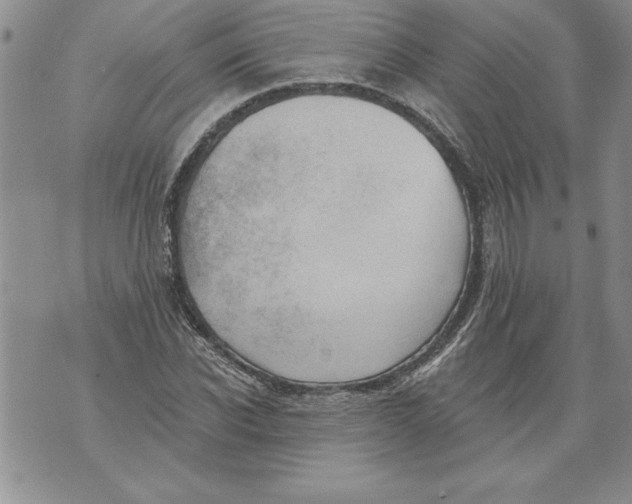 X0000076100926200610152339