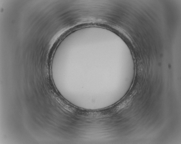 X0000076100927200610152339