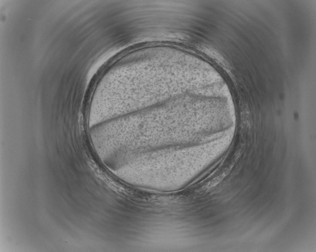 X0000076100928200610152339