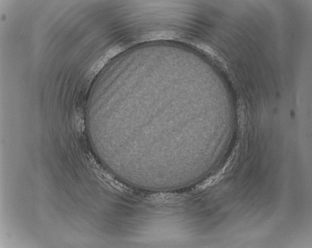 X0000076100929200610152340