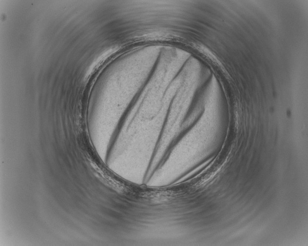 X0000076100930200610152340