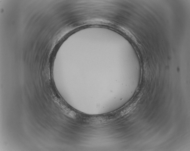 X0000076100931200610152340