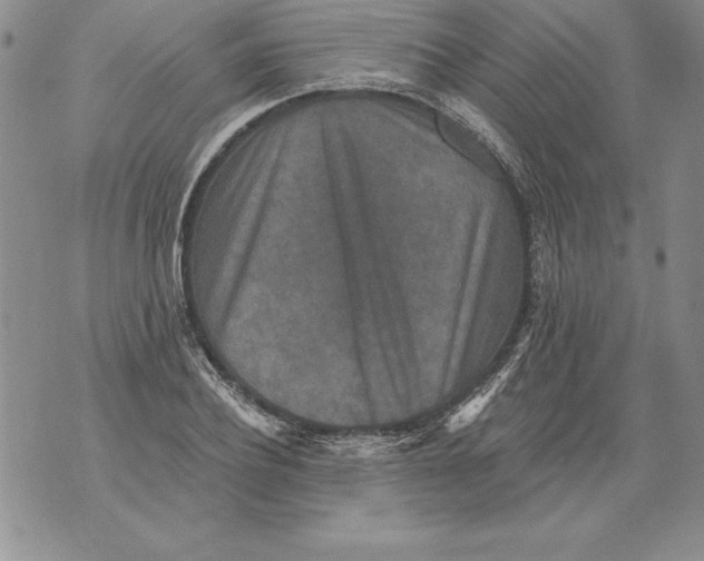 X0000076100932200610152340