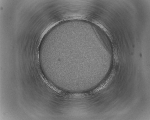 X0000076100933200610152340